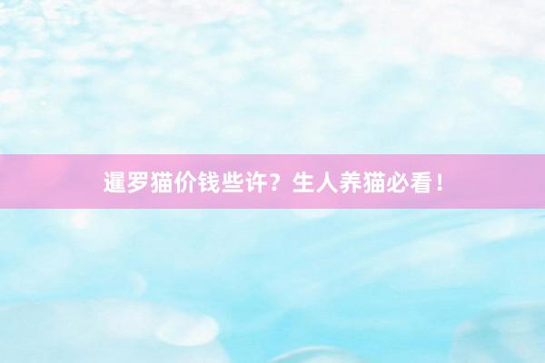 暹罗猫价钱些许？生人养猫必看！